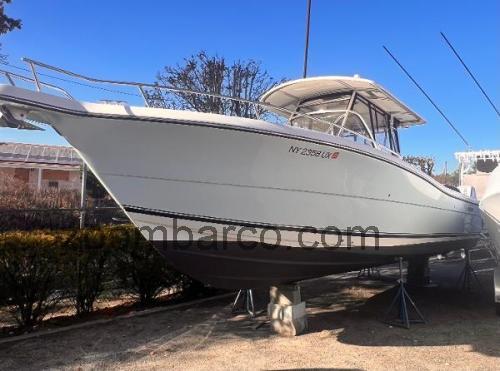 Pursuit 3070 Center Console avaliação e ficha técnica